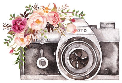 Text Floral Photo